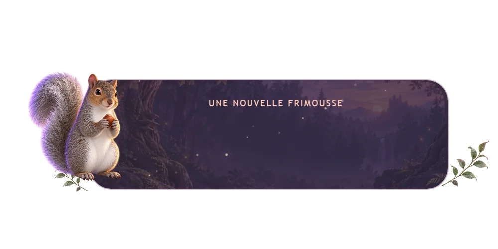 Visuel de l’alerte follow